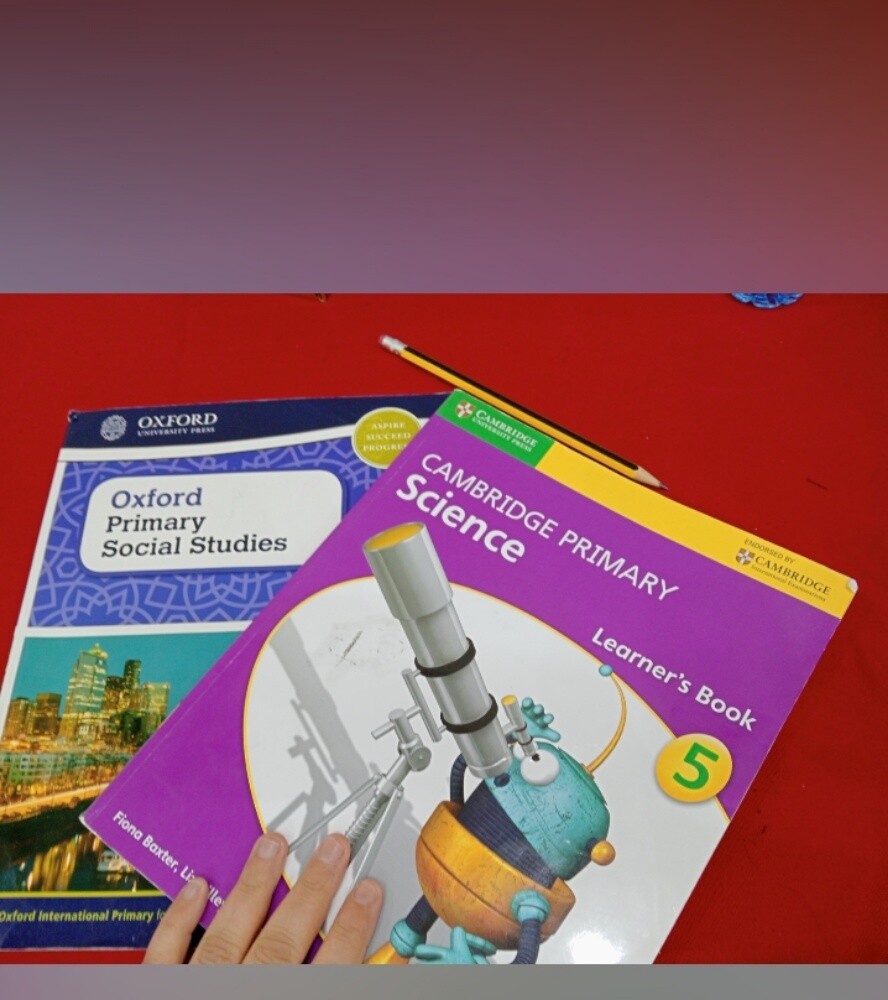 تخصص لغه انجليزيه - 8