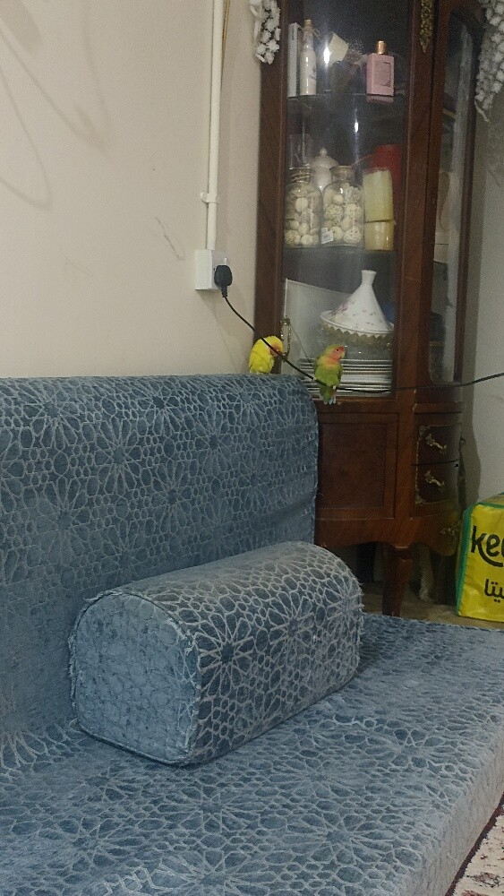 للبيع - 2
