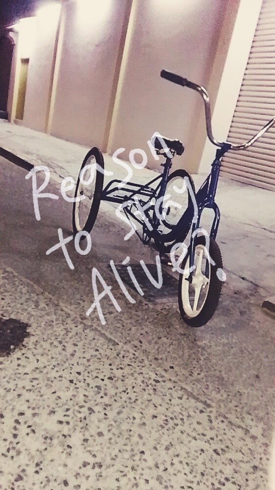 cycle for sale - 2