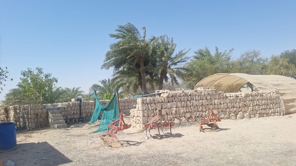 للبيع مزرعه في الشيحانيه - 7