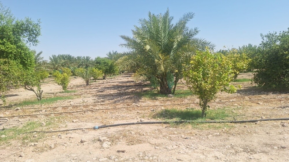 للبيع مزرعه في الشيحانيه - 28