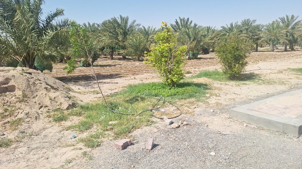 للبيع مزرعه في الشيحانيه - 6