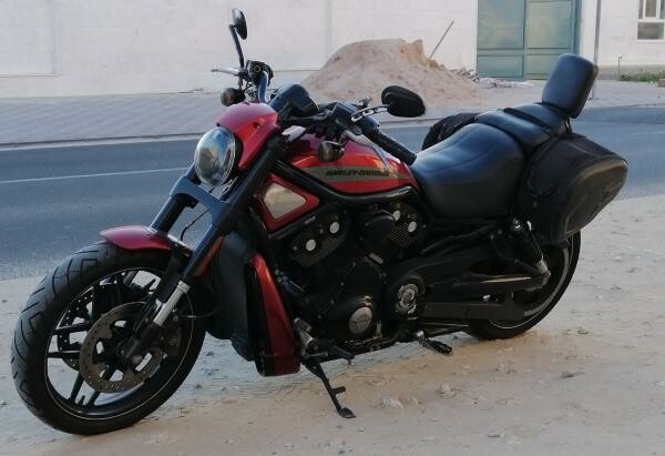 Harley Davidson Night Rod - 5