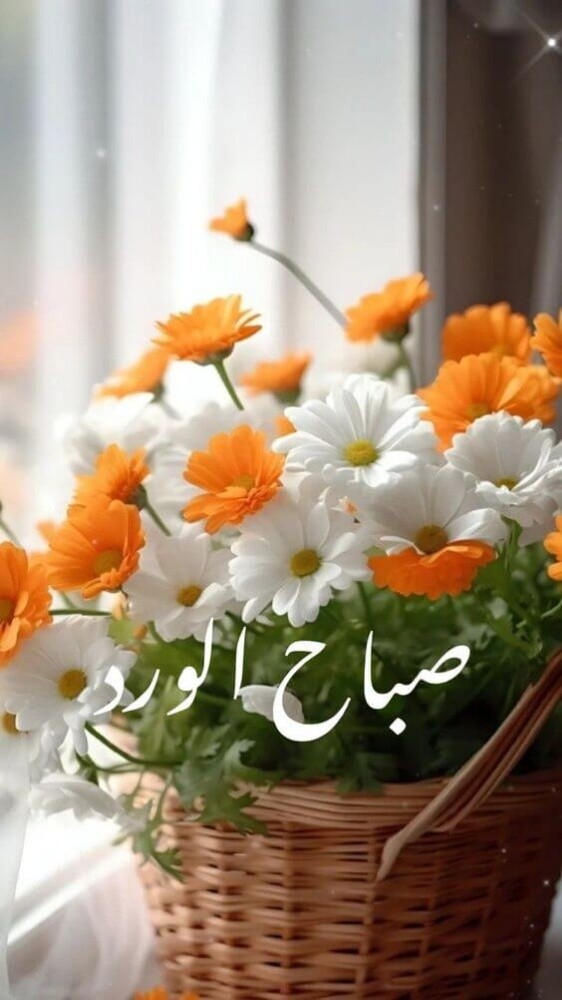 أعتناء بالحديقه بأقل الأسعار - 1