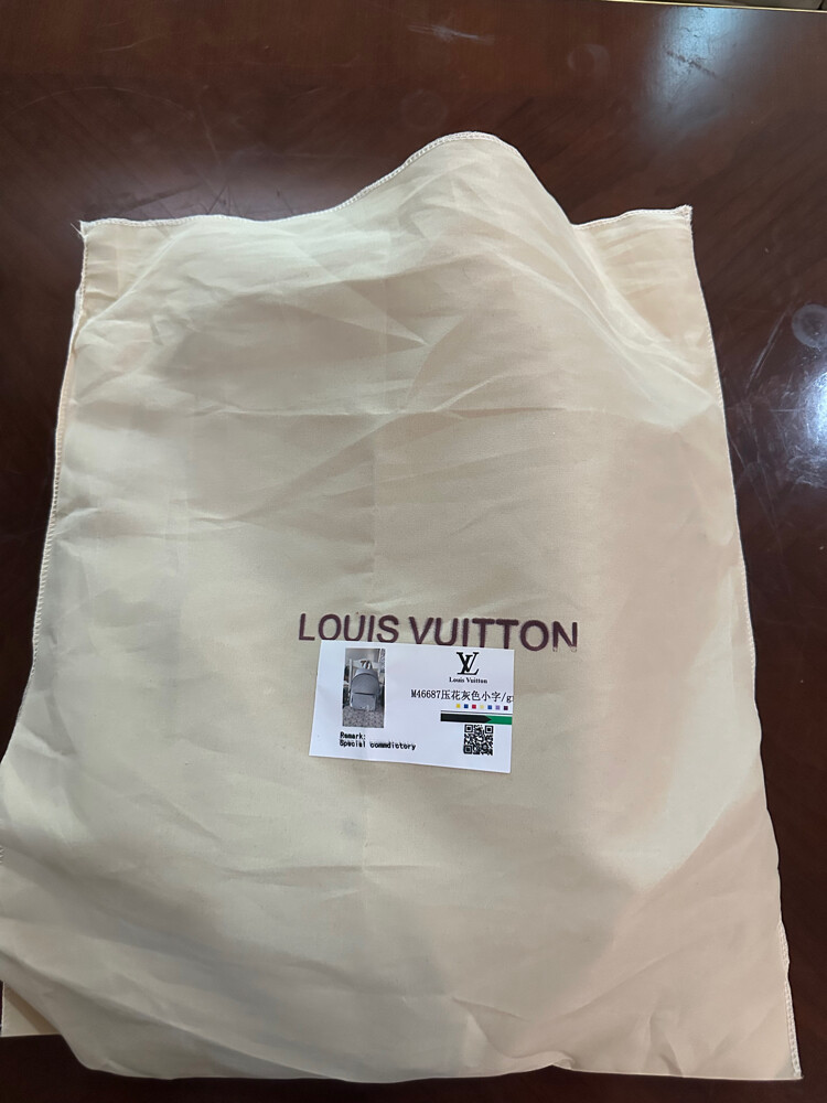 Louis Vuitton Discovery Backpack – - 3