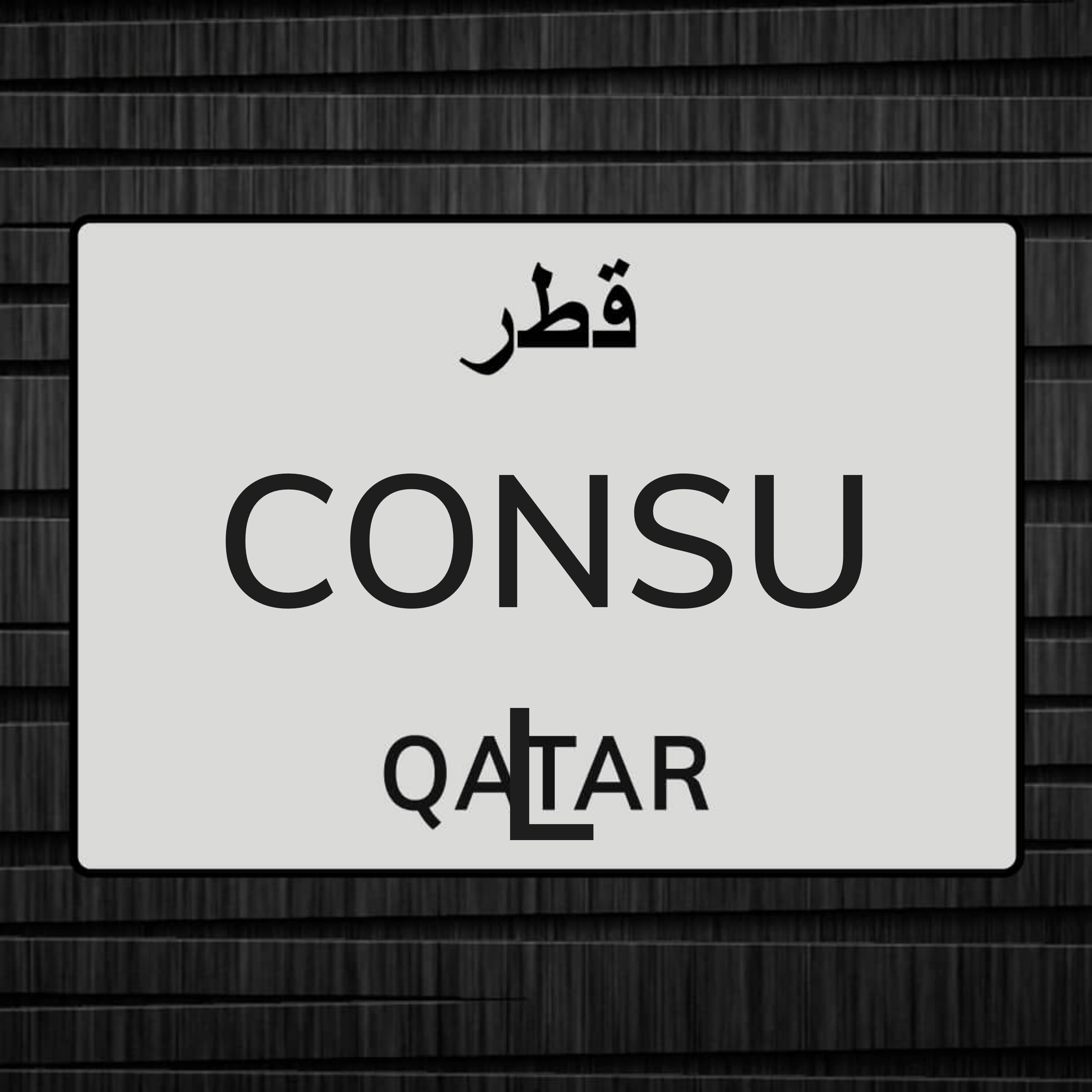 IMMIGRANT ADVISOR MANEGMENT CONSULT - 1