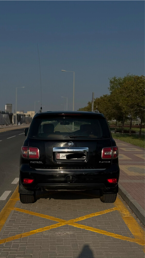 باترول بلاتينيوم - 3