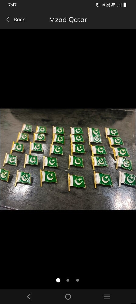 Pakistani Flag Badge Celebration 14 - 3