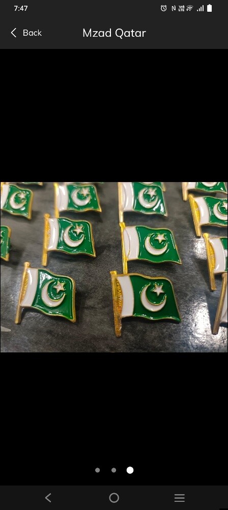 Pakistani Flag Badge Celebration 14 - 1