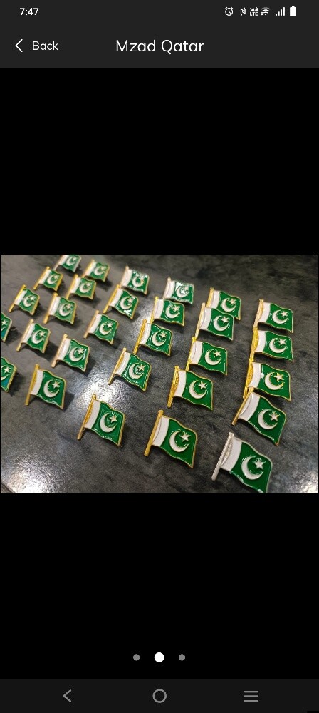 Pakistani Flag Badge Celebration 14 - 2