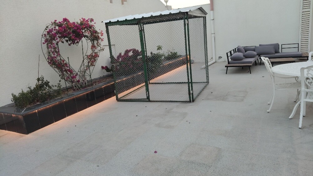 cage - 3