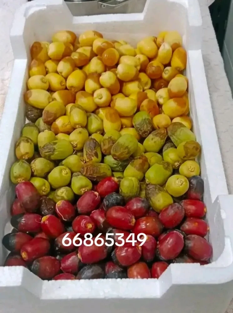 rotab - 2