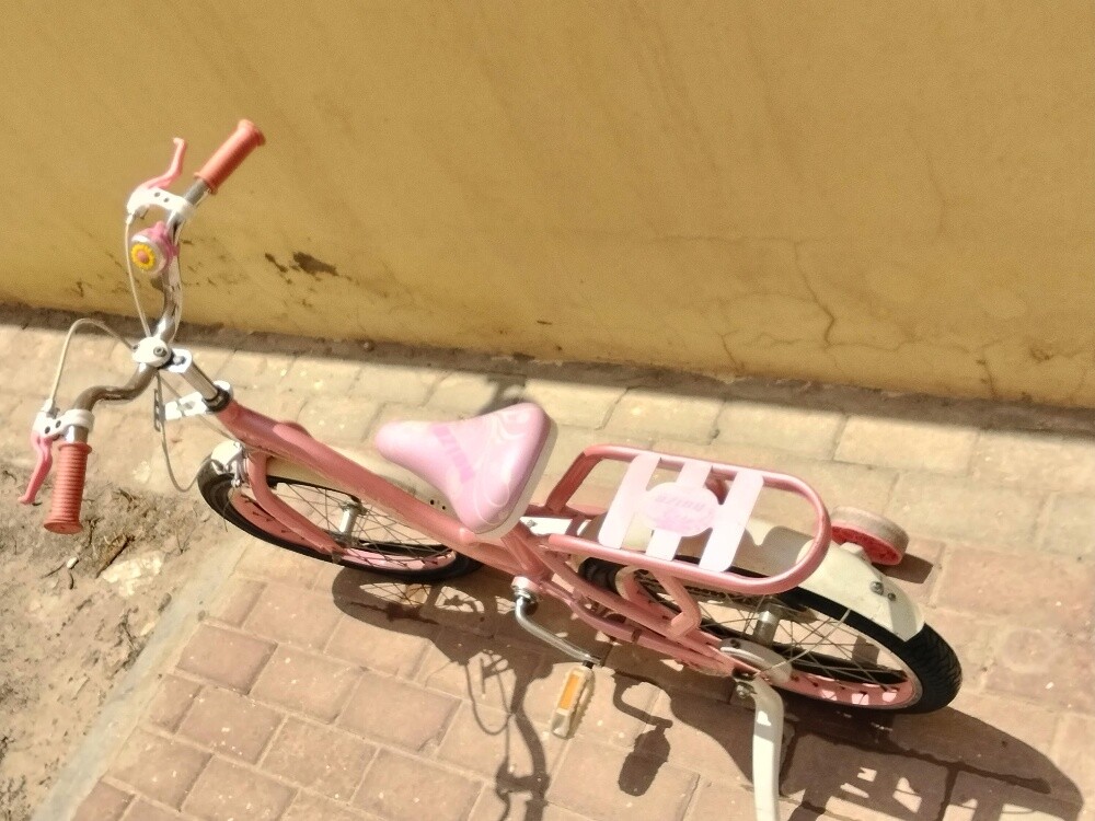 سيكل بناتي للبيع - 2