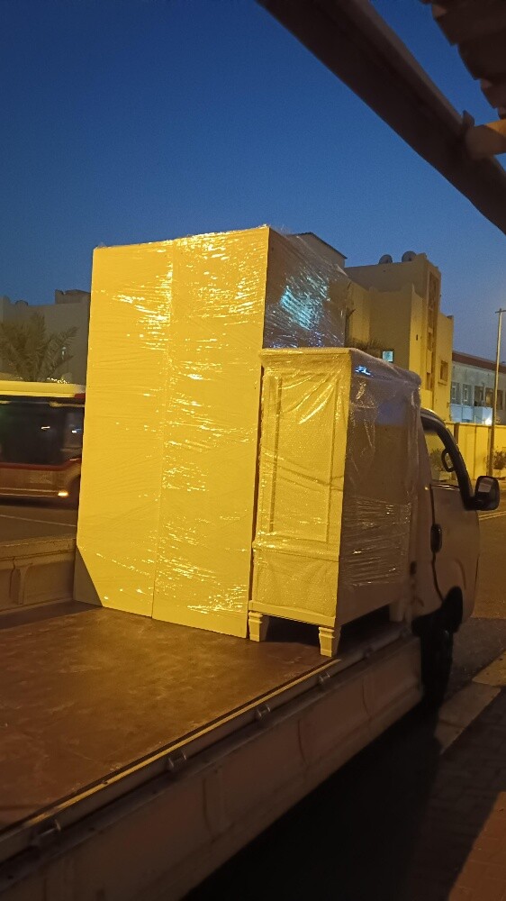 Professional Moving & Shifting Ser - 3