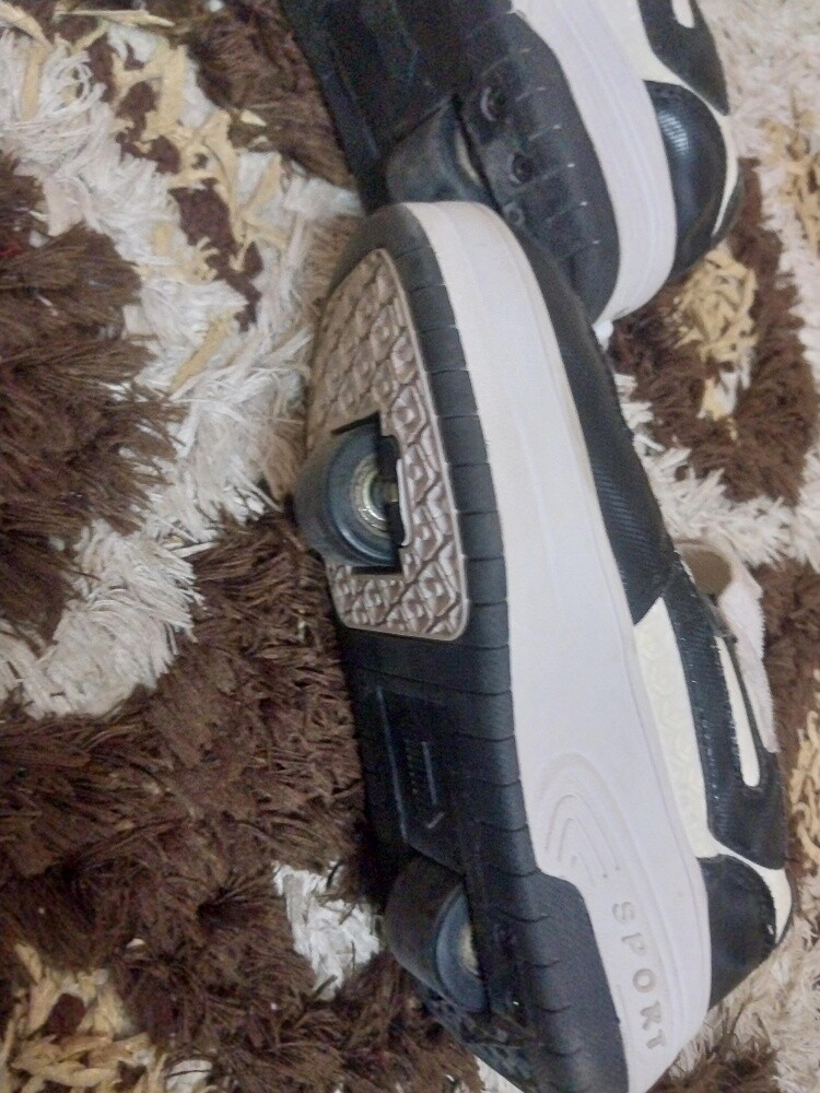 Wheel shoe - 1