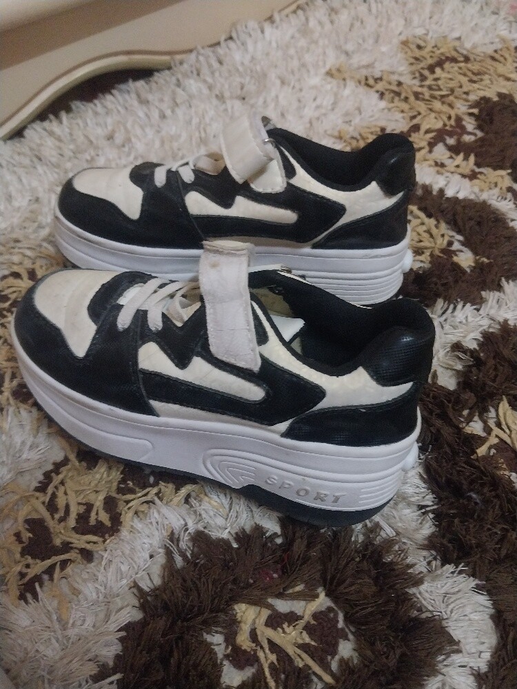 Wheel shoe - 2