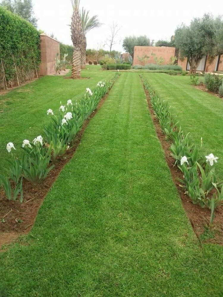 منسق حدائق - 1