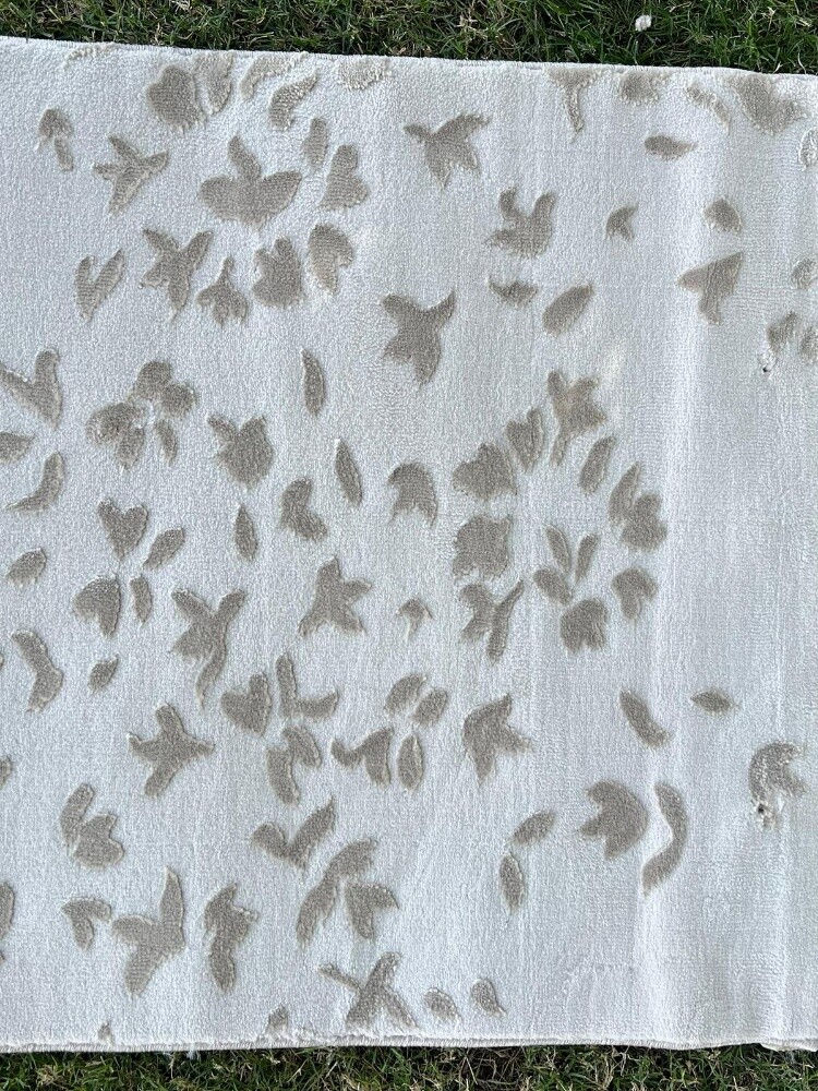 Carpet - 5