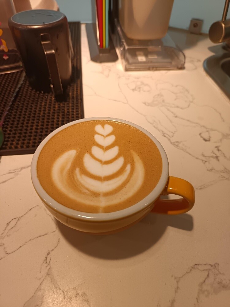 Specialty Barista Supply - 3