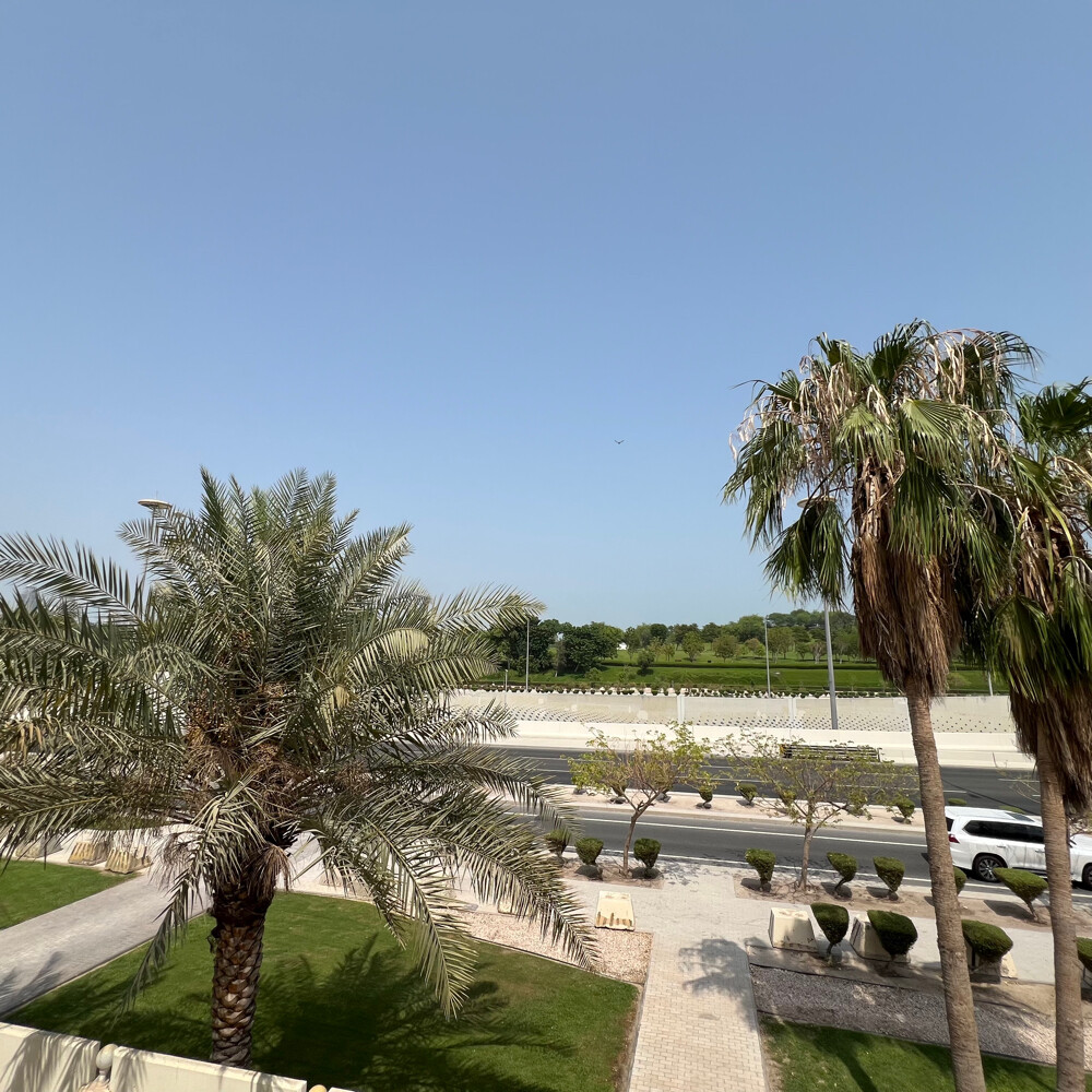 الدفنة - 15