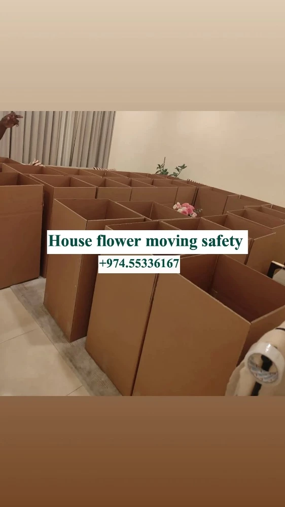 Professional Moving house - 2