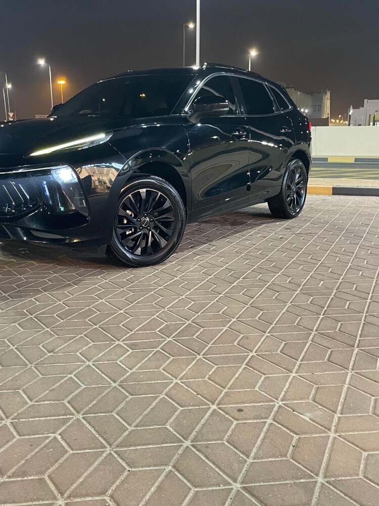 دونغ فينج فورثينج للبيع - 1