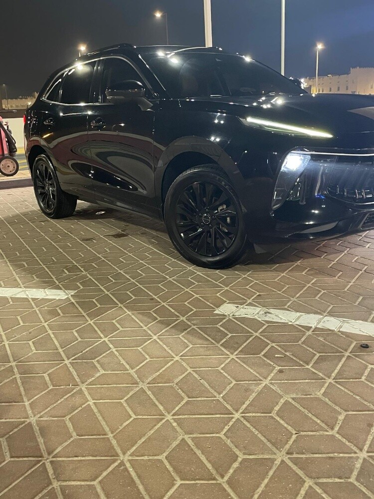 دونغ فينج فورثينج للبيع - 2