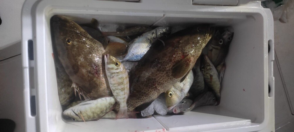 fishing jigging trips - 18