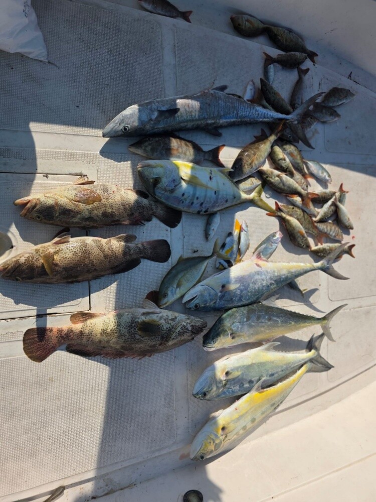 fishing jigging trips - 20