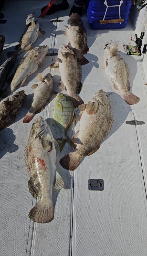 fishing jigging trips - 4