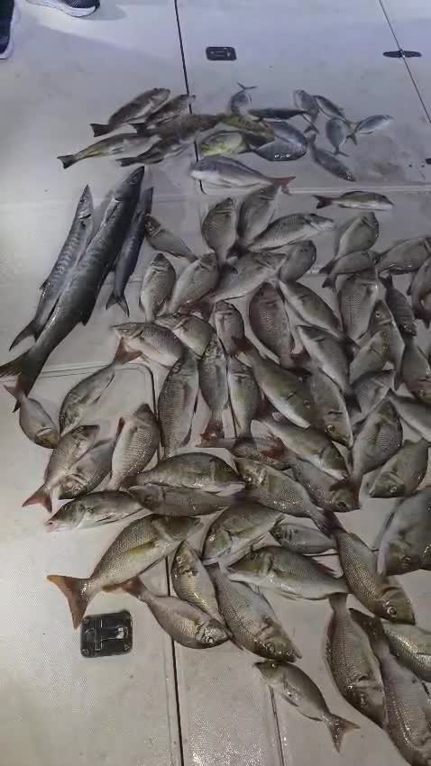 fishing jigging trips - 21