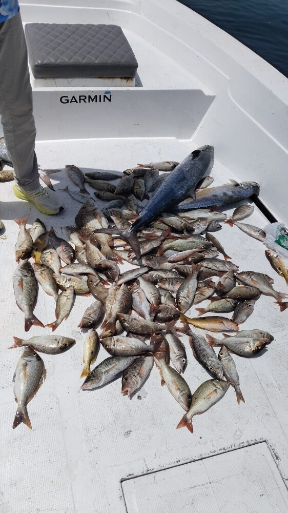 fishing jigging trips - 16