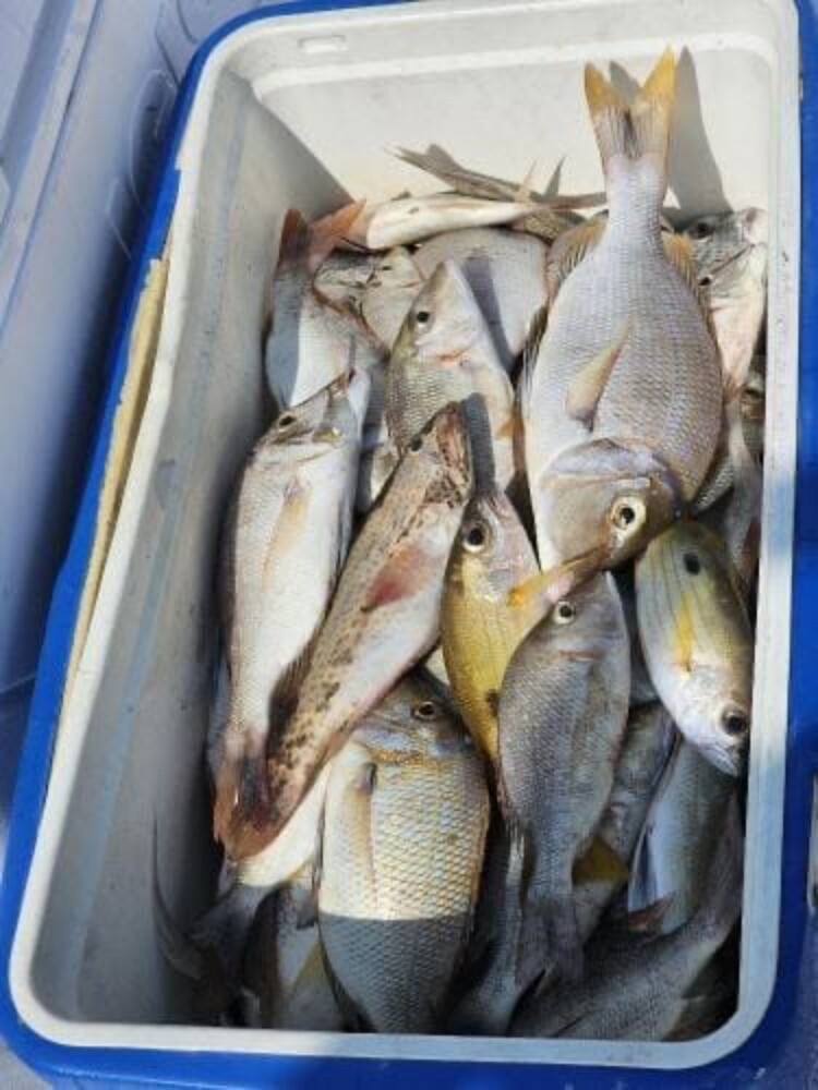 fishing jigging trips - 3