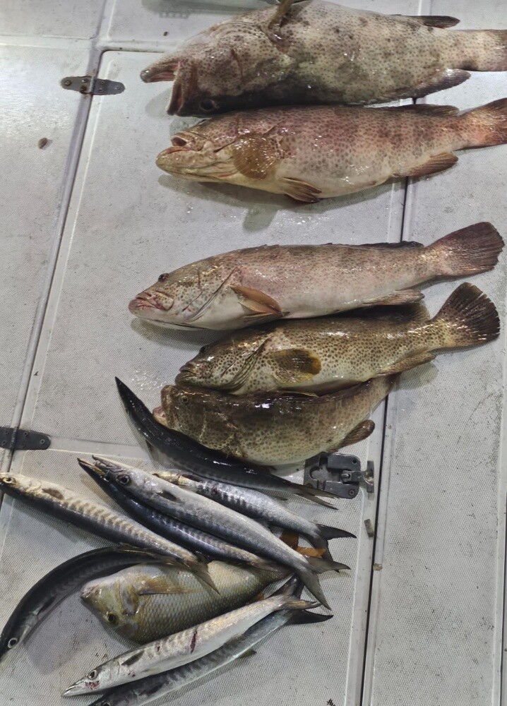 fishing jigging trips - 2