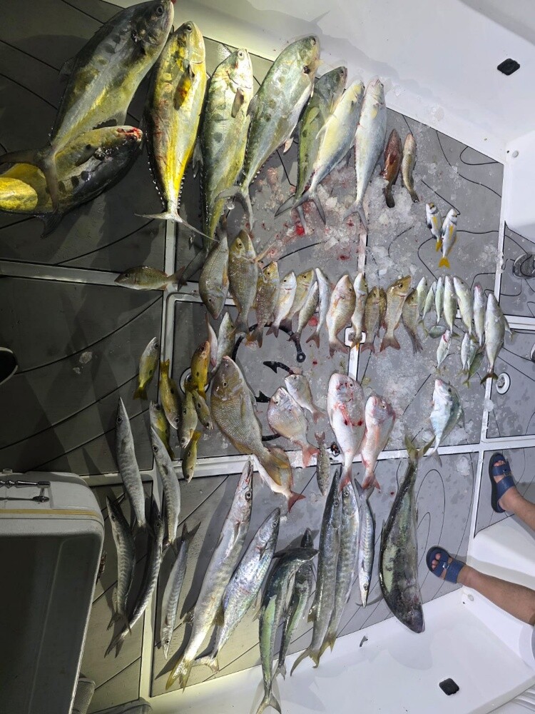fishing jigging trips - 19