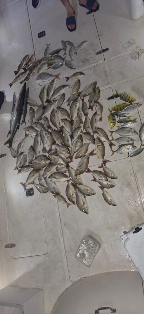 fishing jigging trips - 17
