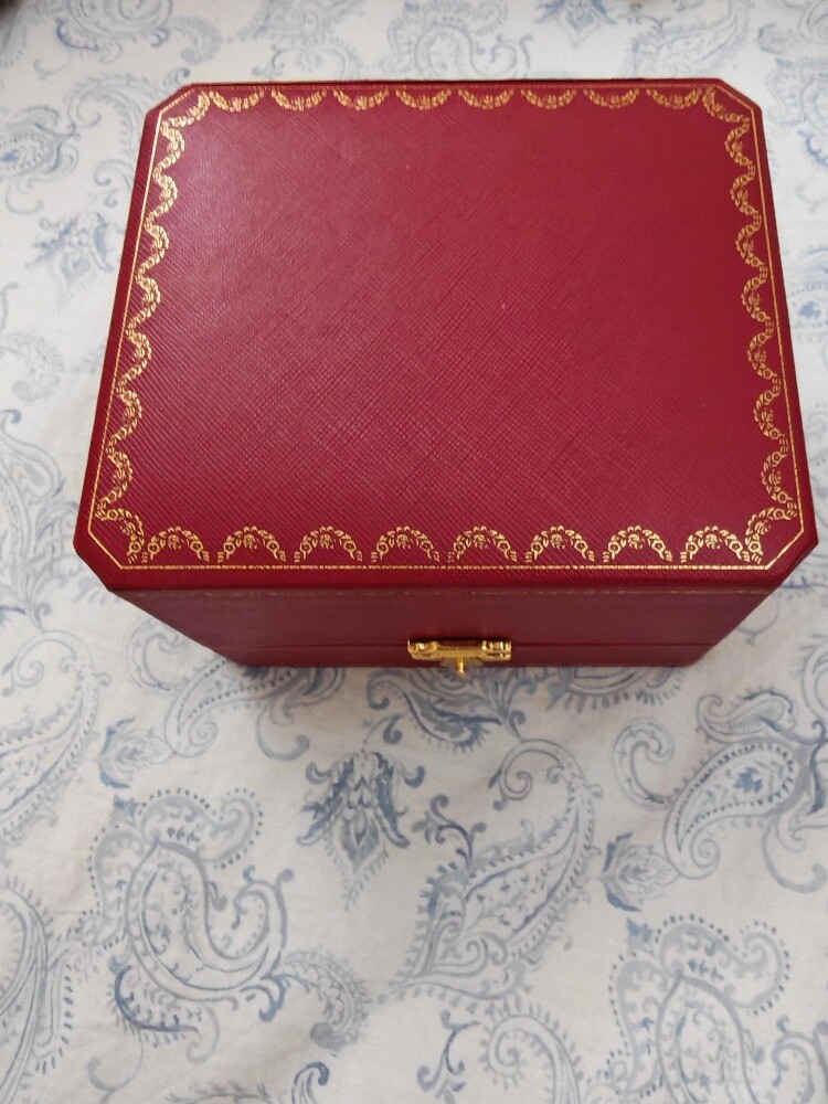 Cartier santos Unworn Brand new - 2