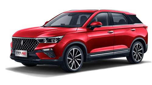سيارة بيستون للإيجار - 8