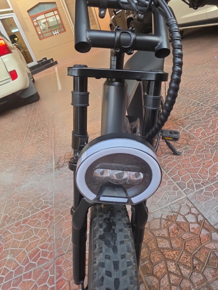 Windhorse D3 Electric Bicycle - 4