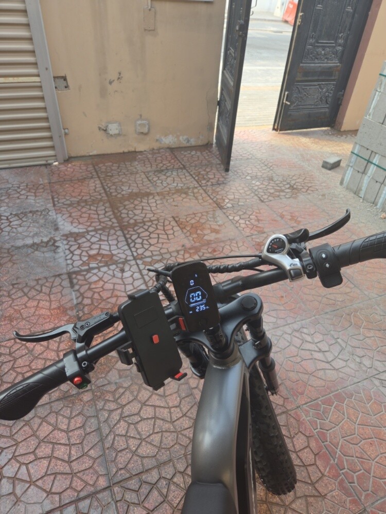 Windhorse D3 Electric Bicycle - 5