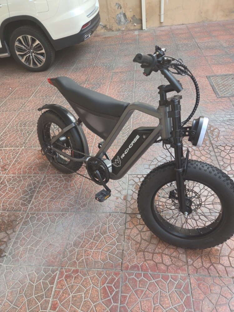 Windhorse D3 Electric Bicycle - 2