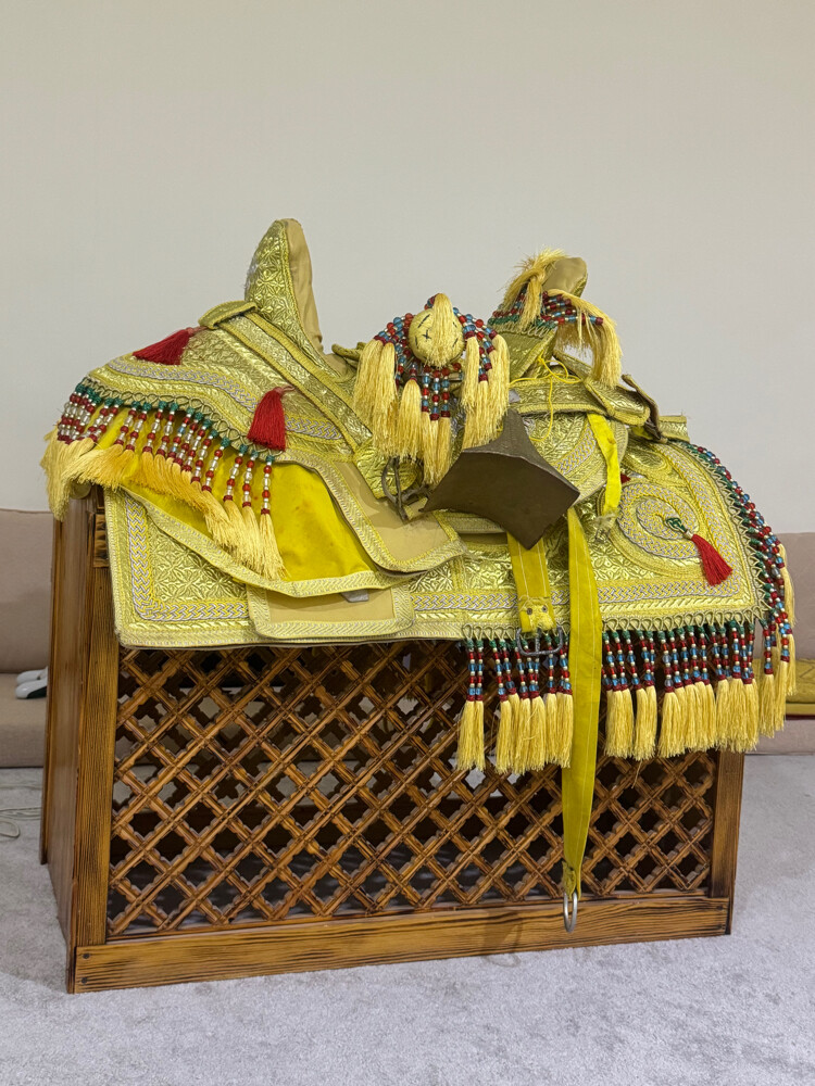 لزينة  - 1