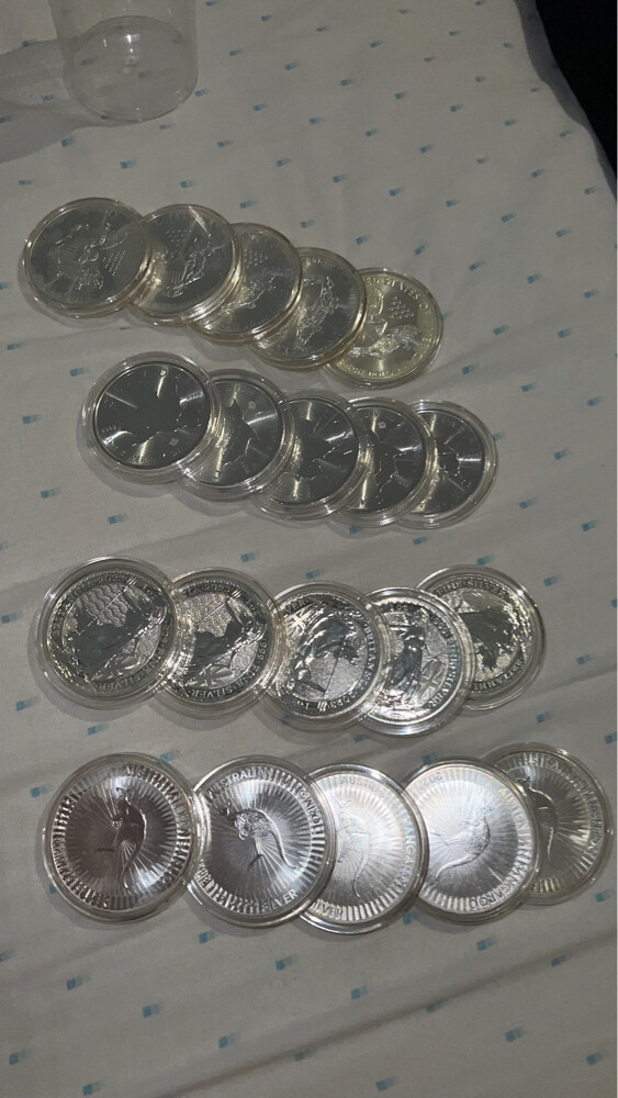 1OZ Silver Coin  - 1