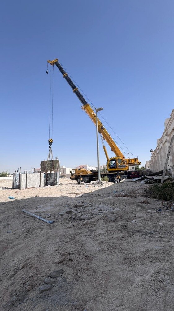 crane for rent contact 5593 6004 - 1
