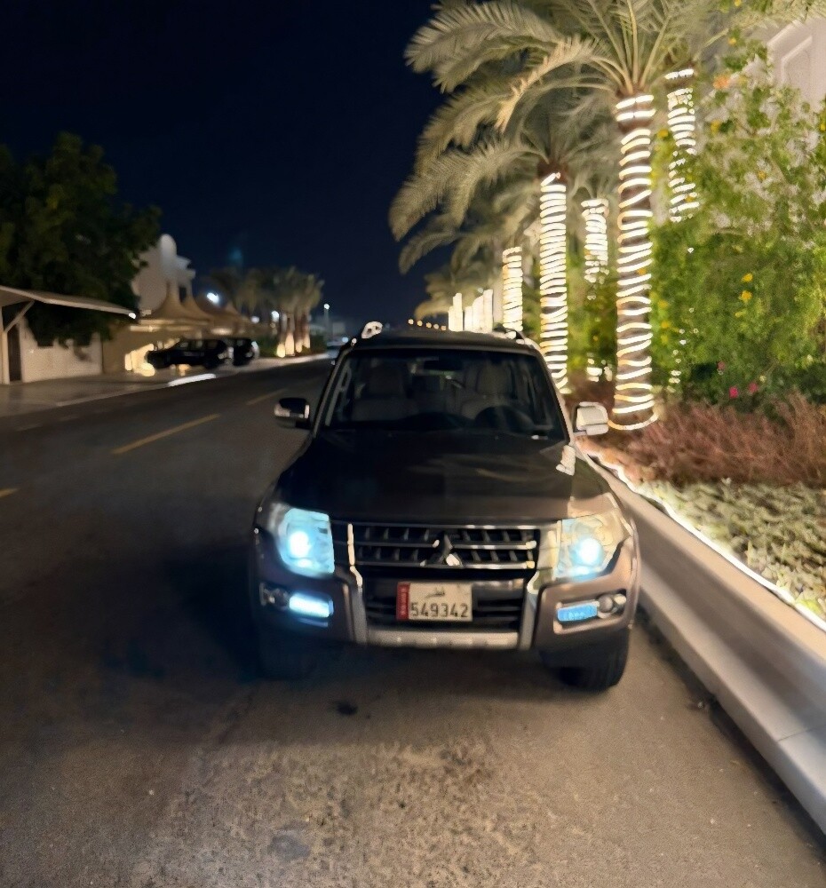 باجيروا للبيع - 5