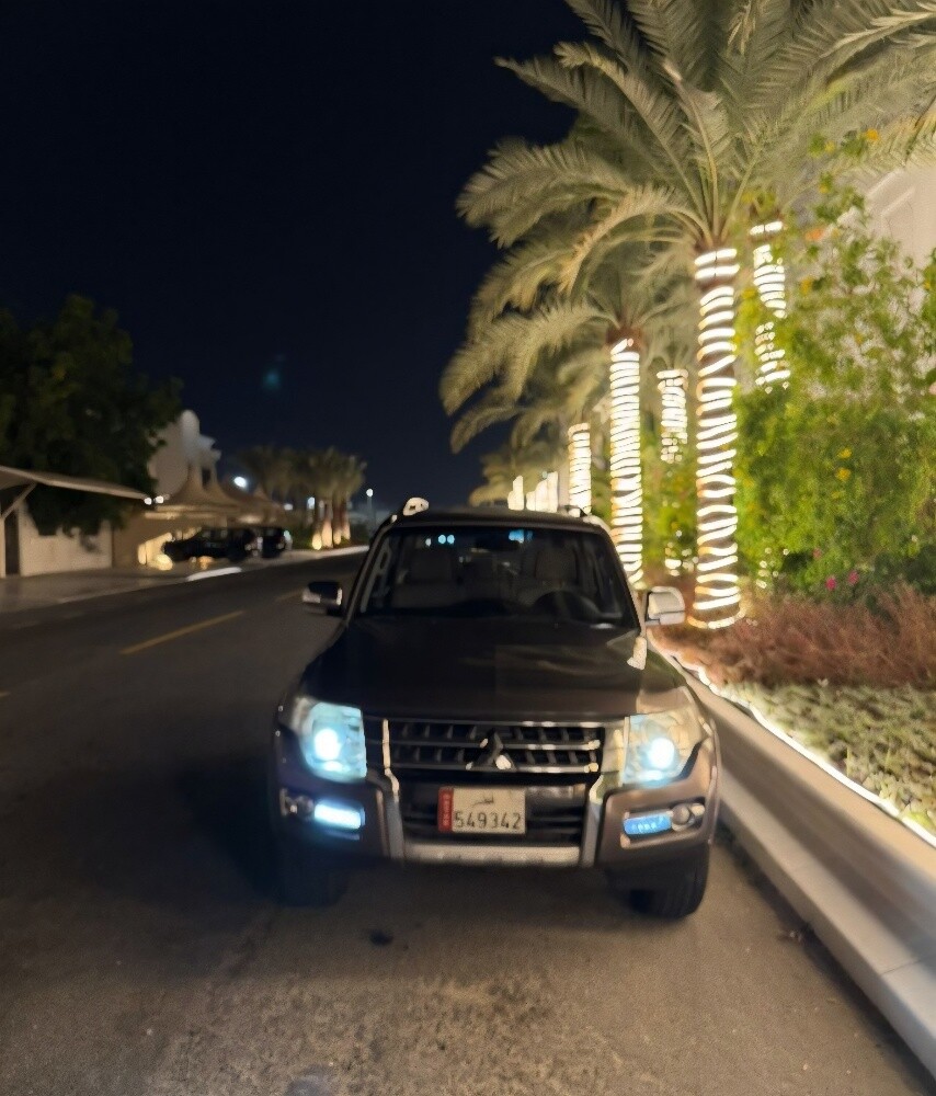 باجيروا للبيع - 8