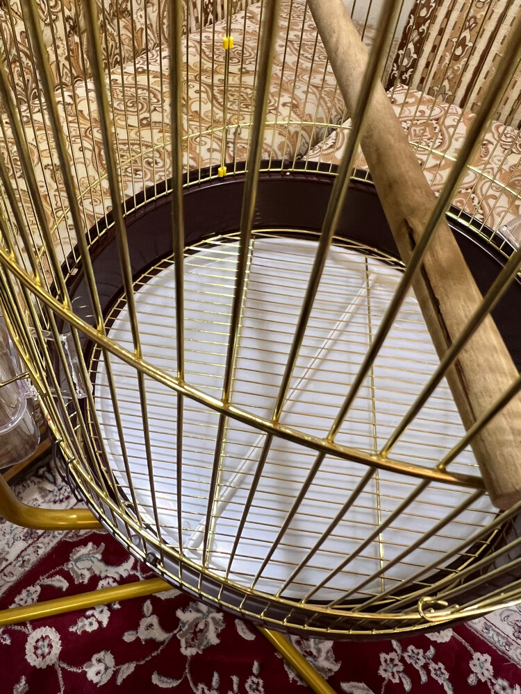 cage  - 2