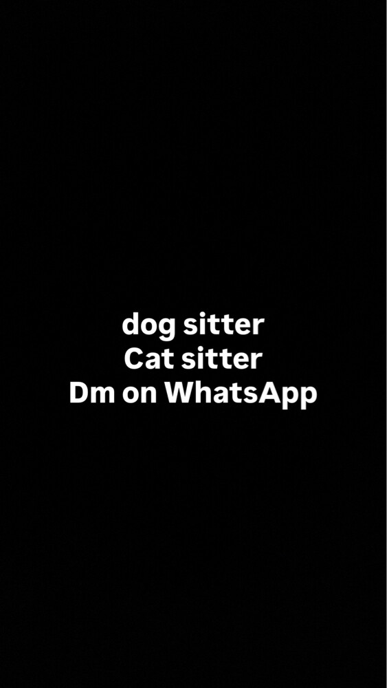 dog sitter , cat sitter(pet sitter) - 1