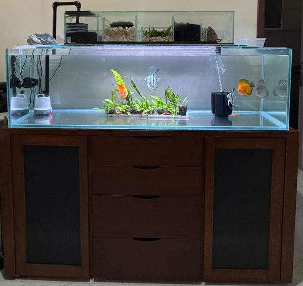 Aquarium with fish & cabinet - 1