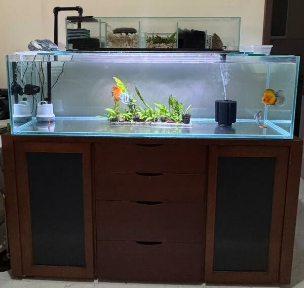 Aquarium with fish & cabinet - 2